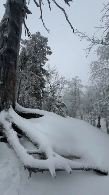 ГОТОВЛЮ НОВОЕ ПУТЕШЕСТВИЕ / ТА СТОРОНА