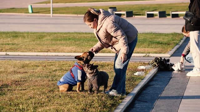 Sequence 01 смотреть онлайн