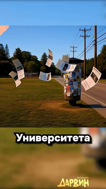 Алло бизнес_ Да да деньги смотреть онлайн