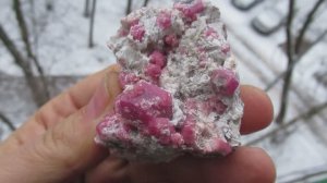 Розелит купить