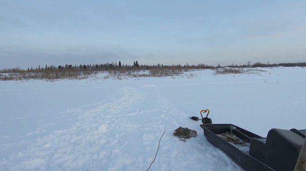 Ловля налима. Установка и проверка перемётов на Енисее.
