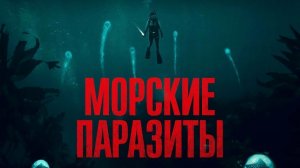 Морские паразиты (краткий пересказ фильма. Бесплатный сеанс)