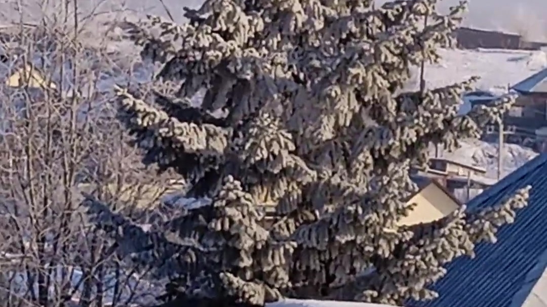 Главная елка на площади города! Вечер. 26-12-2025 смотреть онлайн