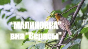 МАЛИНОВКА (ВИА Верасы) с проигрышем  / Разбор на гармони