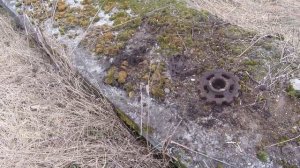 Всё не выкопать. Металлокоп на ферме