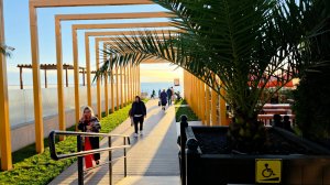 ✅️🎄25 ДЕКАБРЯ В АДЛЕРЕ: +10°, ПОГОЛА СКАЗКА, НОВОГОДНЯЯ АТМОСФЕРА, АДЛЕРСКАЯ НАБЕРЕЖНАЯ С ЛУЧШИМИ М