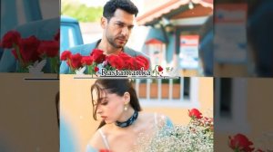 🥀🕊цыганская песня 🌸2026 Aleks Andreev 🥀🕊