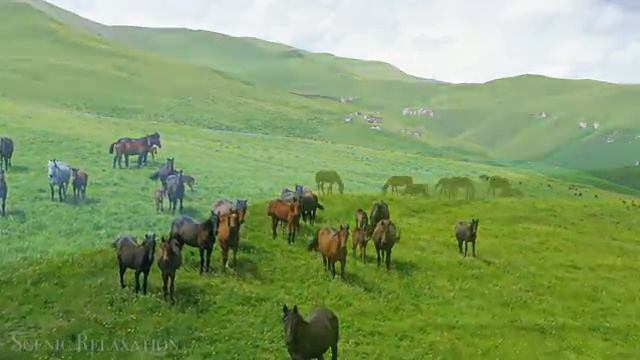 Kazakhstan - Scenic Relaxation Film With Calming Music