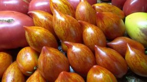 Томат Перо Жар птицы. №1067. Полный обзор и дегустация. 2023 год.