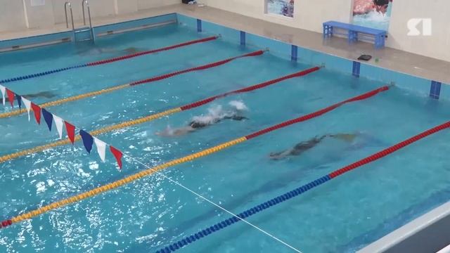 В регионе стартовал Кубок Ярославской области по подводному спорту смотреть онлайн