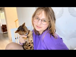 Наша кошка умеет не только пакостить по углам