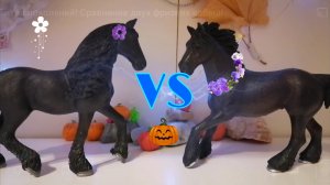 Битва поколений! Сравнение двух фризких кобыл!
