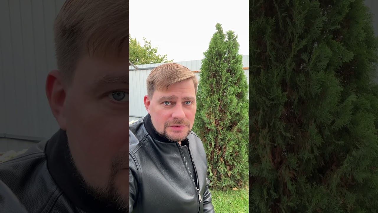 Я снова в деле, но на Дзен премиум ! смотреть онлайн