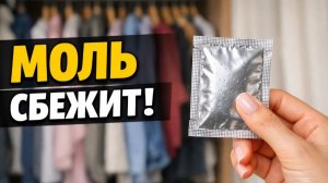 Моль сбежит! Проверенный способ без химии