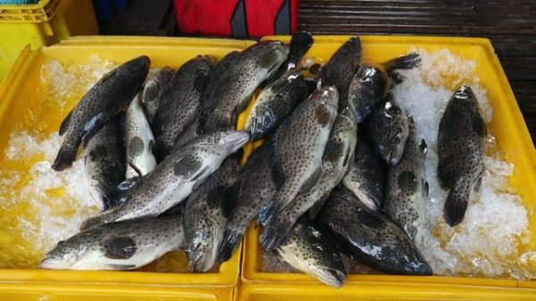 Рыба запеченная. Рецепт внутри.