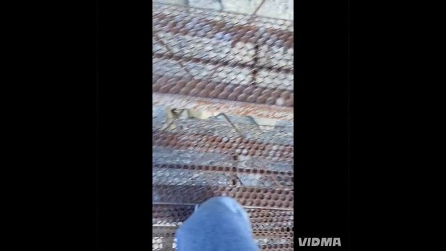 1 день со мной