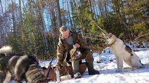 Дневник охотника.Добыл соболя.День одиннадцатый.