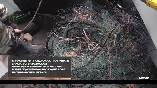Браконьеры продолжают нарушать закон 24-12-2025 смотреть онлайн