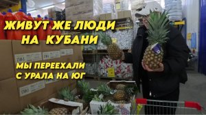 1053 Обзор наших покупок/Купили много вкусняшек/Жизнь семьи после переезда на юг