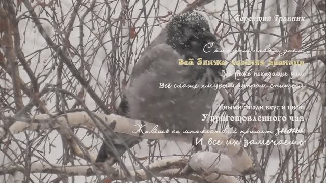 Тюмень. Ноябрь смотреть онлайн