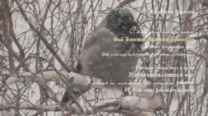 Тюмень. Ноябрь