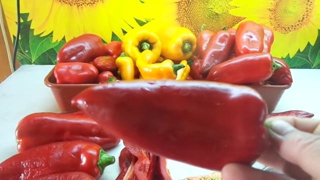 КАК СОБРАТЬ СВОИ СЕМЕНА ПЕРЦА В ДОМАШНИХ УСЛОВИЯХ. смотреть онлайн