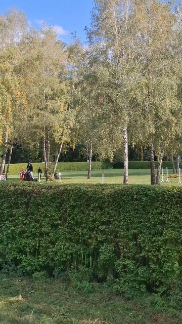 Соревнование по конкуру в парке Победы в честь дня города Ставрополя 2025.





#конкур
#лошади