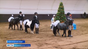 ГТРК СЛАВИЯ Вести Великий Новгород 25.12.25