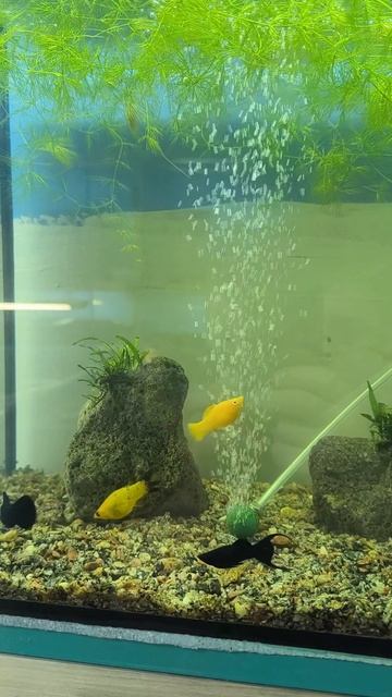 25-12-2025 скалярки смотреть онлайн