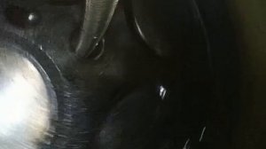 WHLU5554963-JMAS03954-0