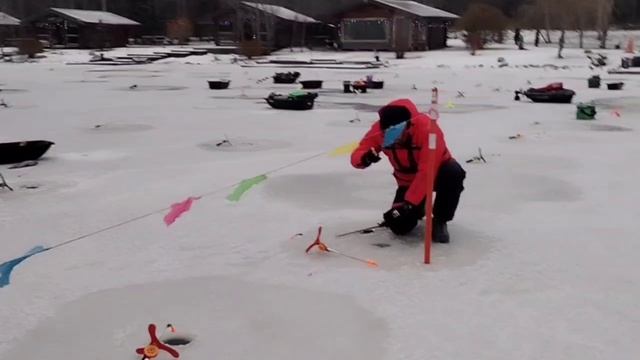 Обзор поимок смотреть онлайн