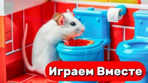 ХОМЯК ВЫБИРАЕТСЯ ИЗ СЕКРЕТНОЙ ХОМЯЧЕЙ ТЮРЬМЫ ! Играем ВМЕСТЕ ! Помогаем выбраться из лабиринта