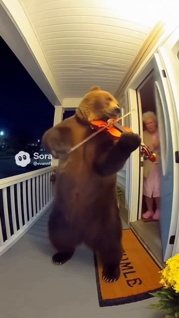 медведь играет на скрипке смотреть онлайн