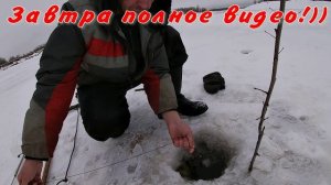 Щука десяточка