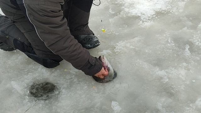 Основной водоём. На пасту. смотреть онлайн