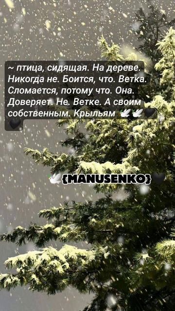 💥⚜️НоВаЯ ЦыГаНсКаЯ ПеСнЯ 2026 г. 
Эту песню ИЩУТ все ⚜️💥💯
🕊️ Полетели 🕊️