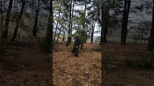 Песок как на Бали🥰🔥А, грибов ведь не набрали✍️🌞 смотреть онлайн