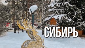 Город в ожидании чуда: декабрьские зарисовки