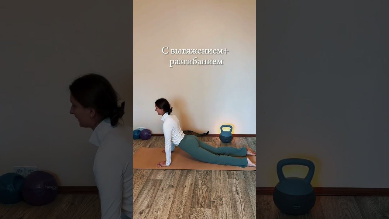 Сила рук и здоровье позвоночника тг: veronika_y.uryevna #пилатес #функциональнаятренировка