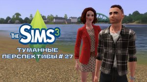 The Sims 3. Туманные перспективы # 27.Как Майкл мирился с соседом
