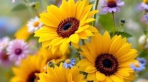 Аудио - Eurythmics -  Энни Леннокс, Дэйв Стюарт ---  I Saved the World Today  -- Сегодня я спас мир