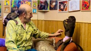 Степа пришел домой к Анфисе, она уже на своей территории и меньше его боится, отношения налаживаются