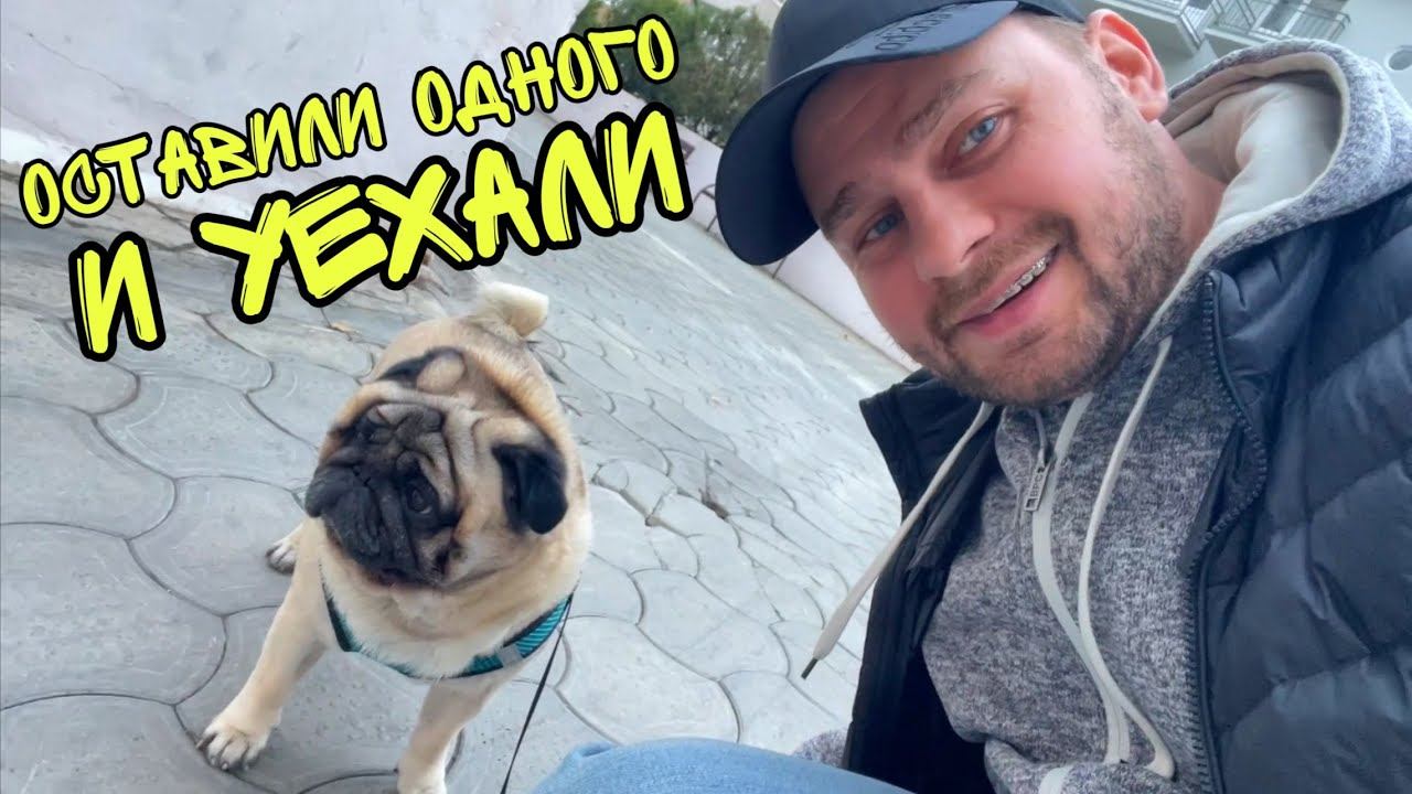 ВЛОГ ! Бросили собаку и Срочно едем в Краснодар ! смотреть онлайн