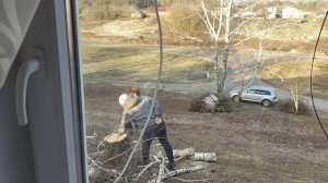 Влоги из деревни. Пилим деревья. Варим сок. Новый диван. Небольшие покупки к НГ.