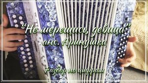 «Не мерещись, девица» (анс. Аринушка) / Разбор на гармони по цифрам