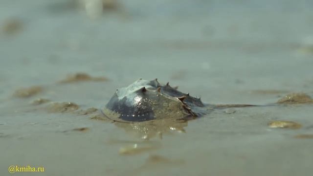 Романтические композиции для релакса. Vol 17 смотреть онлайн