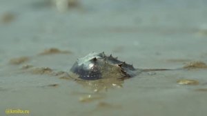 Романтические композиции для релакса. Vol 17