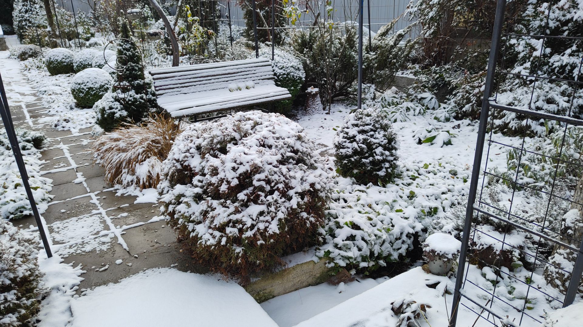 Зимняя прогулка по южному саду. С первым снегом 25.12.2025 г. Пятигорск. смотреть онлайн