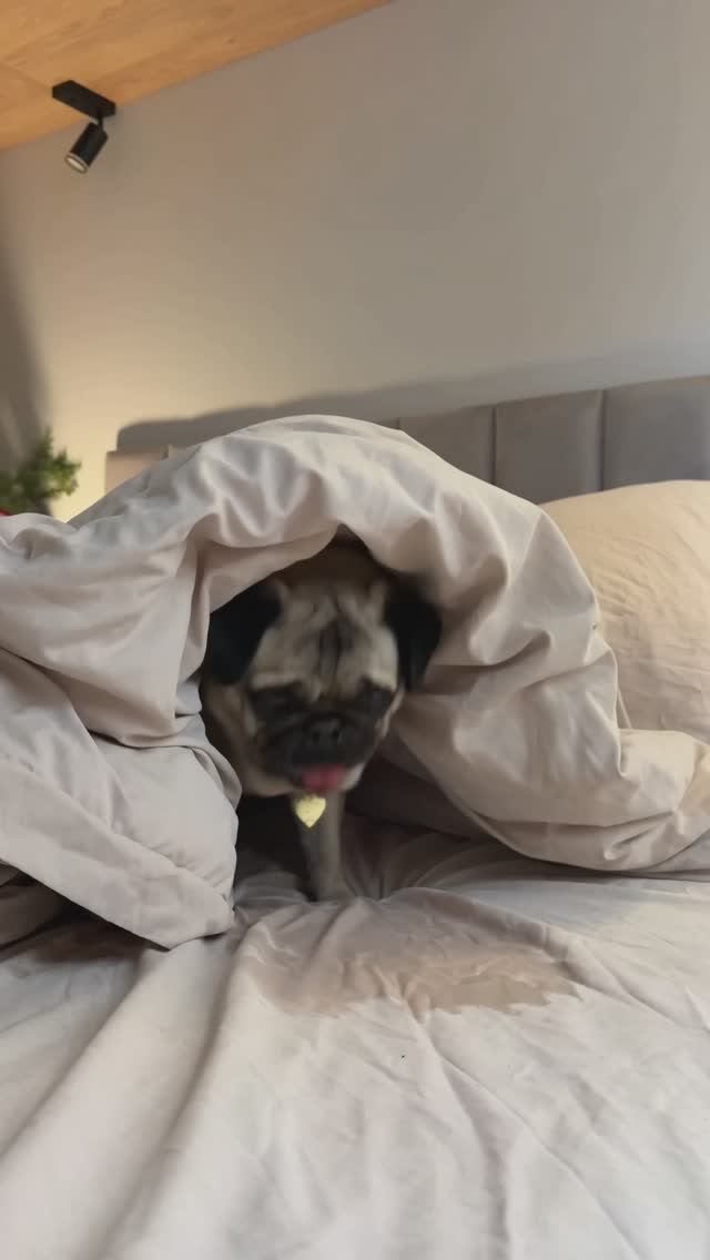 КТО-ТО ПРОБРАЛСЯ К НАМ В ДОМ ПОД НОВЫЙ ГОД 😰 смотреть онлайн