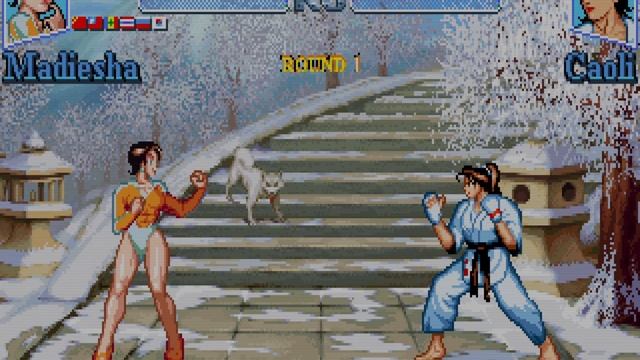 Tough Guy [MS-DOS] (1995)